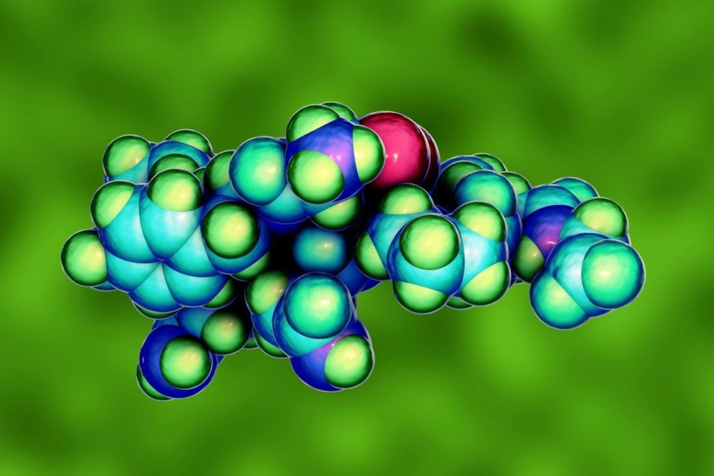 Comment augmenter la production d’ocytocine naturellement ?