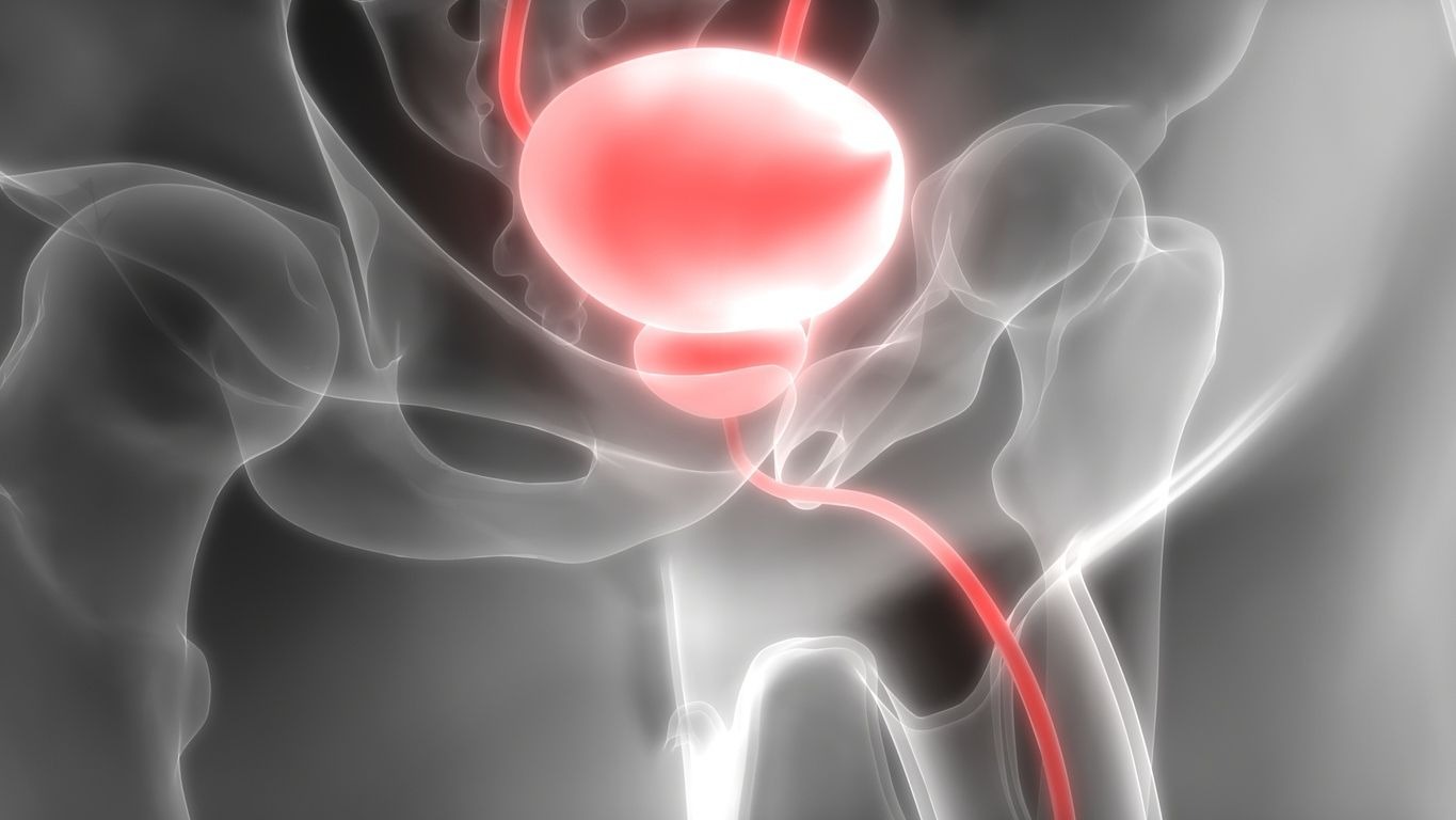 Comment détendre les muscles de la vessie ?