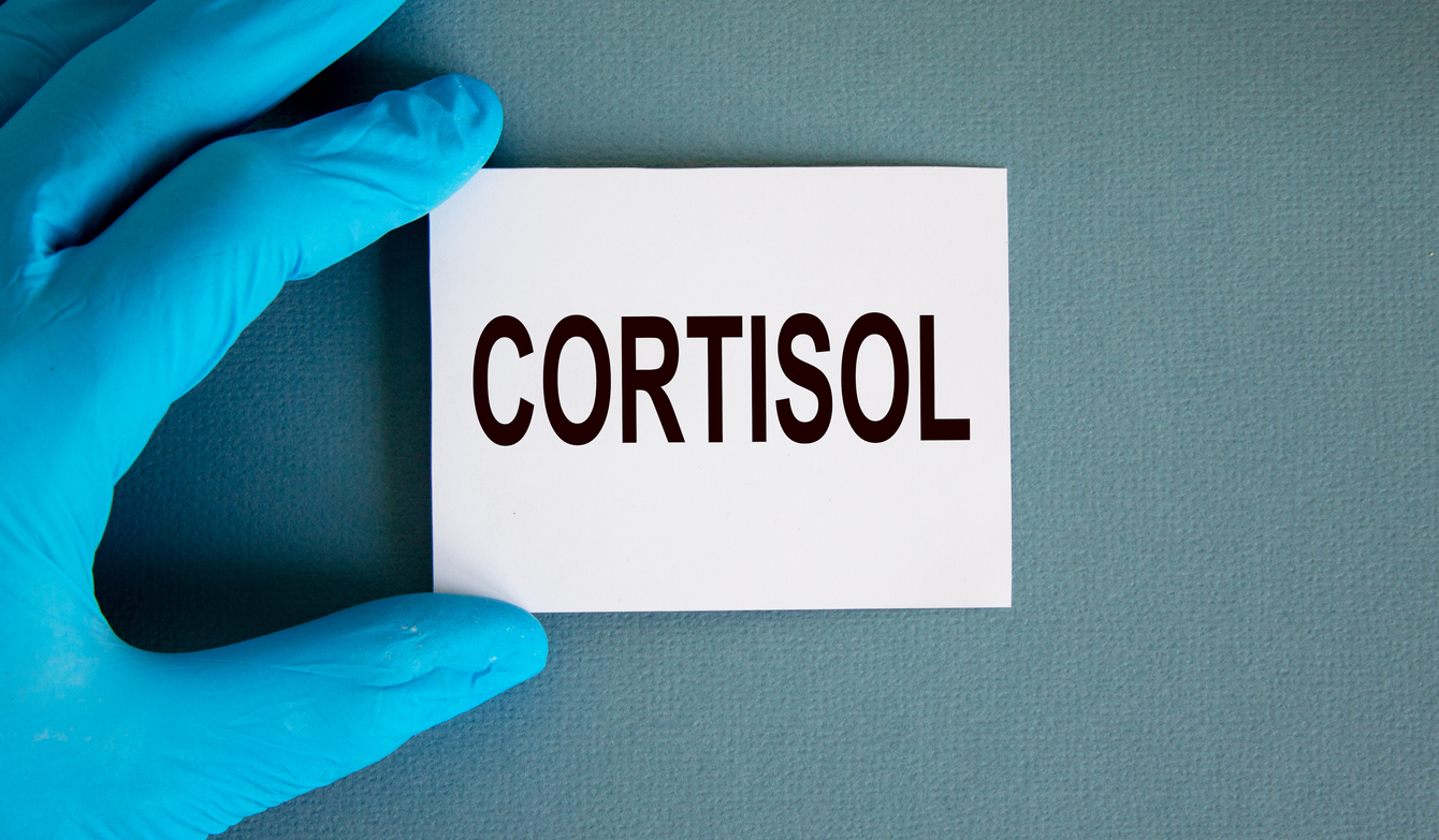 Comment faire baisser son taux de cortisol élevé naturellement Comment faire baisser son taux de cortisol élevé naturellement
