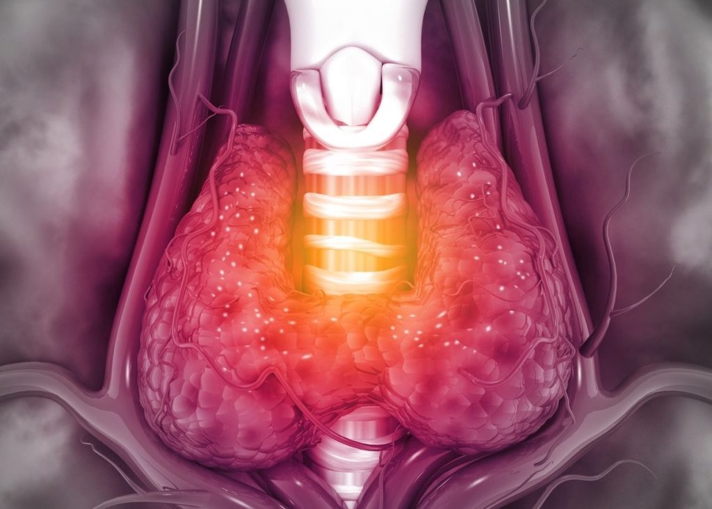 Hypothyroïdie : comment augmenter son métabolisme ?