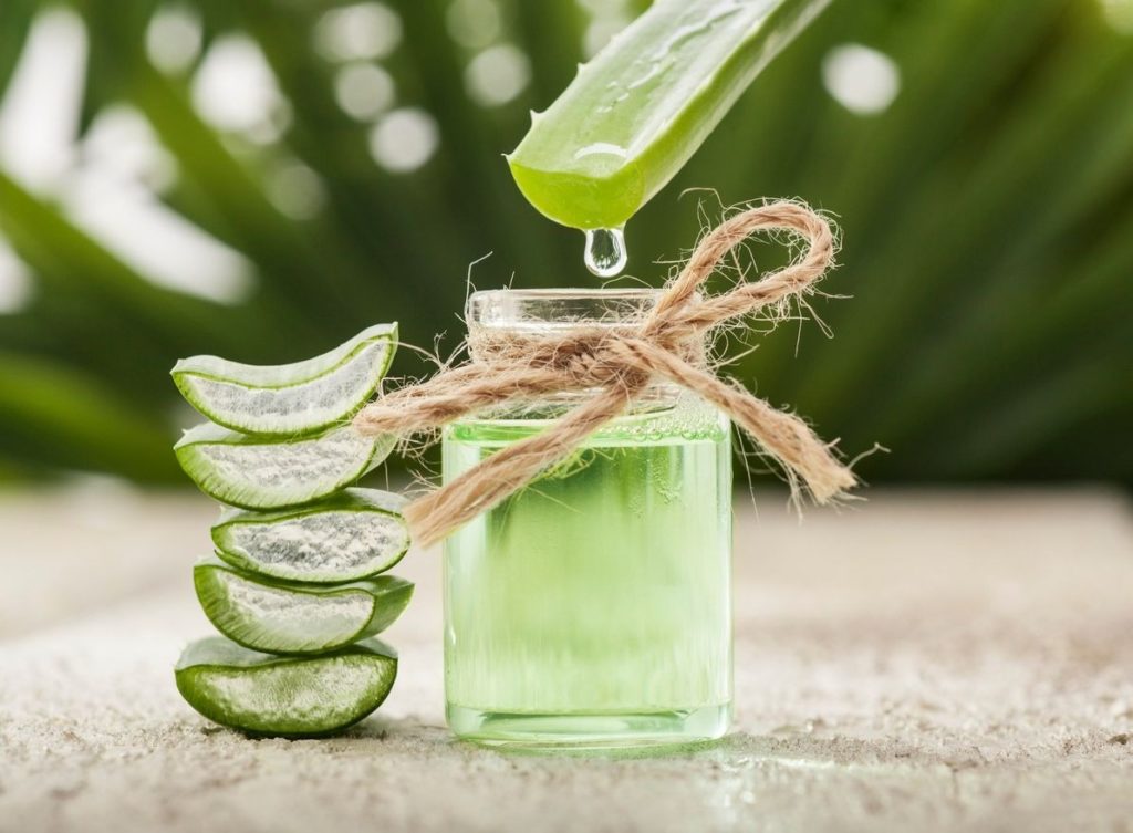 L’Aloe Vera est-il efficace pour soulager le stress ?