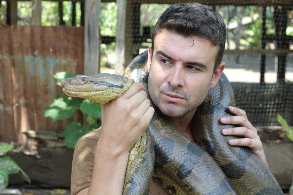Ophiophobie : comment ne pas avoir peur des serpents ?