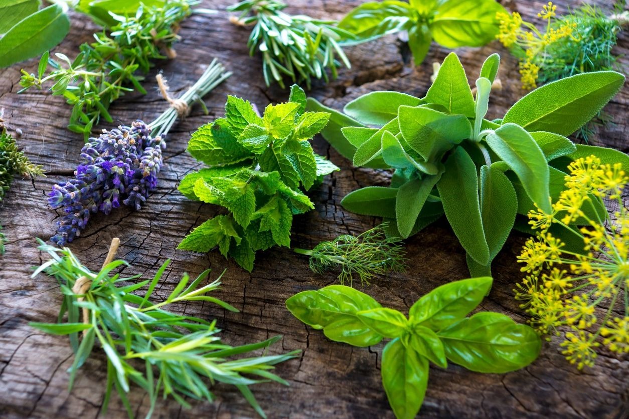 Quelles plantes antistress pour les céphalées de tension