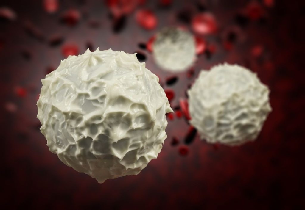 Stress et baisse des globules blancs : comment stimuler son immunité ?
