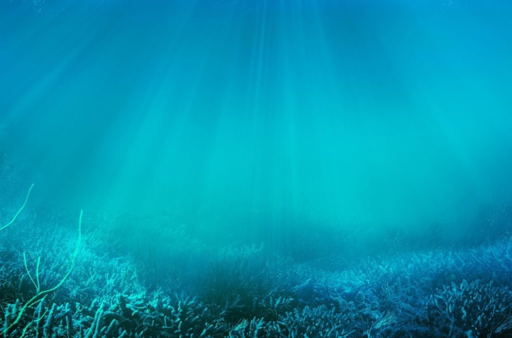 Thalassophobie : comment vaincre sa peur de nager en eau profonde (mer) ?